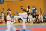 Karate Landesmeisterschaft Kategorie Kumite 3612332