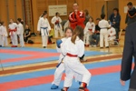 Karate Landesmeisterschaft Kategorie Kumite 3612337