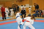 Karate Landesmeisterschaft Kategorie Kumite 3612338