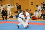 Karate Landesmeisterschaft Kategorie Kumite 3612339