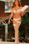 Fashion Shows 3627082