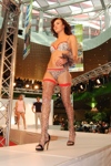 Fashion Shows 3627091