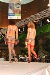 Fashion Shows 3627092