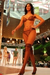 Fashion Shows 3627112