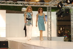 Fashion Shows 3627149