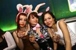 Osterhasen und Bunny Party 3656092