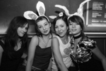 Osterhasen und Bunny Party 3660841