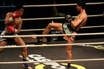 Thai-Boxen 3668177