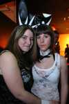 Bunny Party 3688306