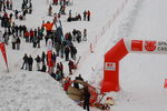 Lockenfest auf den Kornplatz(Südtirol) 3780414