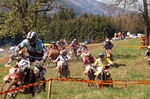 Oberösterreichischer Motocross Cup 3805943