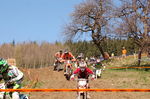 Oberösterreichischer Motocross Cup 3805976