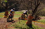 Oberösterreichischer Motocross Cup 3806019