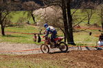 Oberösterreichischer Motocross Cup 3806024