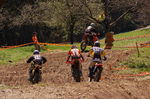 Oberösterreichischer Motocross Cup 3806042