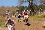 Oberösterreichischer Motocross Cup 3806069