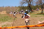 Oberösterreichischer Motocross Cup 3806070