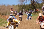 Oberösterreichischer Motocross Cup 3806074