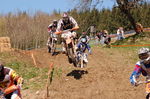 Oberösterreichischer Motocross Cup 3806076