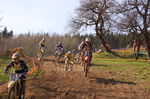 Oberösterreichischer Motocross Cup 3806562