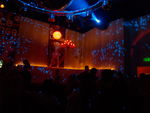 Saturdaynight 3828006