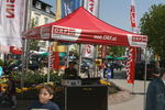 Alles Auto 2008 3830692