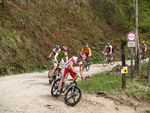 Attersee Mountainbike Trophy 2008 3873089