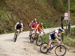 Attersee Mountainbike Trophy 2008 3873090