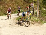 Attersee Mountainbike Trophy 2008 3873095