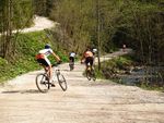 Attersee Mountainbike Trophy 2008 3873097