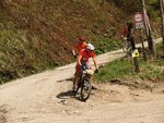 Attersee Mountainbike Trophy 2008 3873112