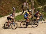 Attersee Mountainbike Trophy 2008 3873115