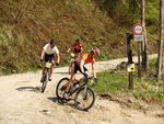 Attersee Mountainbike Trophy 2008 3873124