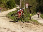 Attersee Mountainbike Trophy 2008 3873132