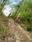 Attersee Mountainbike Trophy 2008 3873219