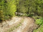 Attersee Mountainbike Trophy 2008 3873245