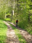 Attersee Mountainbike Trophy 2008 3873246