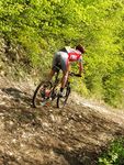 Attersee Mountainbike Trophy 2008 3873251