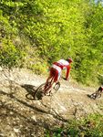 Attersee Mountainbike Trophy 2008 3873255