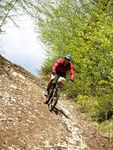 Attersee Mountainbike Trophy 2008 3873277