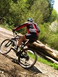 Attersee Mountainbike Trophy 2008 3873278