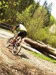 Attersee Mountainbike Trophy 2008 3873282