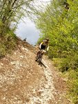 Attersee Mountainbike Trophy 2008 3873287