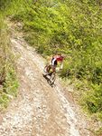 Attersee Mountainbike Trophy 2008 3873294