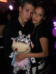 Kuscheltierparty 3920165