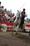 Oswald v. Wolkenstein Ritt(Südtirol) 4016278