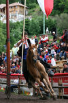 Oswald v. Wolkenstein Ritt(Südtirol) 4016288