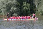 3. Salzburger Drachenbootcup und Festival 08 4092232