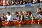 3. Salzburger Drachenbootcup und Festival 08 4092303