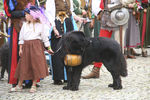 Historisches Burgfest 4180513